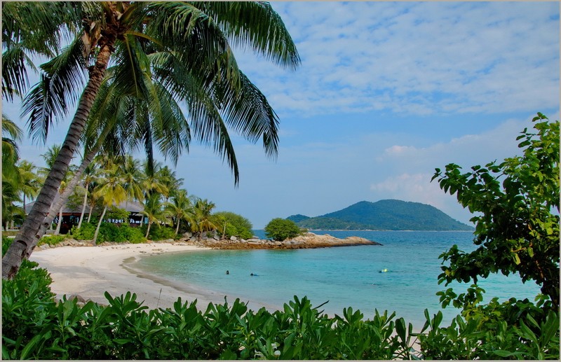 Tropical Beach